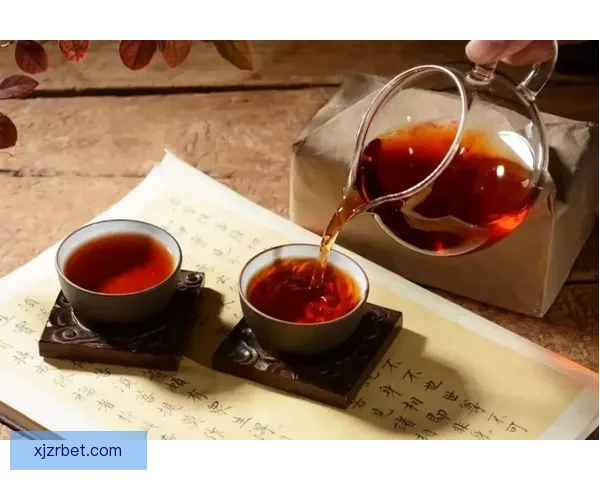 世界杯体育竞猜平台全方位解析让你轻松掌握赛事动态与投注策略